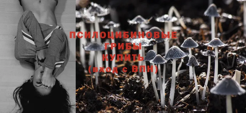 Галлюциногенные грибы Psilocybine cubensis  OMG зеркало  Сыктывкар  где продают  